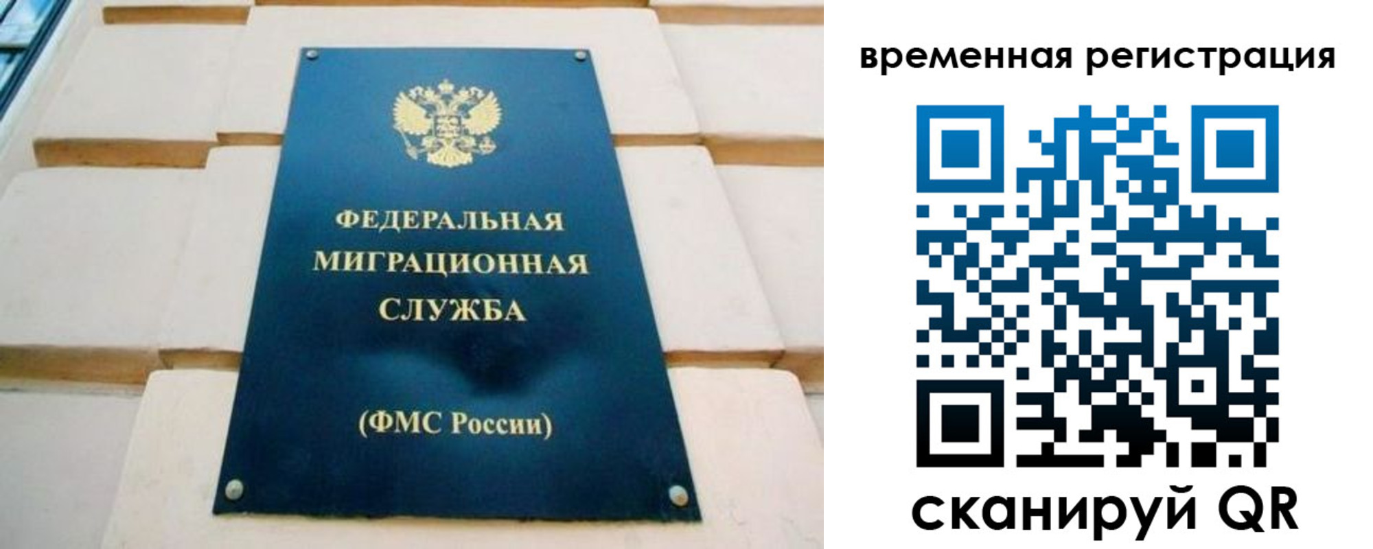 прописка гарантия в Тереке
